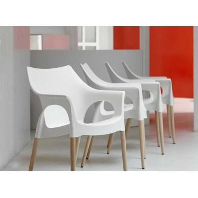 Natural Zebra Antishock - Sedia contract in Faggio e Policarbonato per bar,ristorante,piscina,hotel SCAB DESIGN